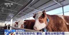 一只羊能有超170种产品！看
